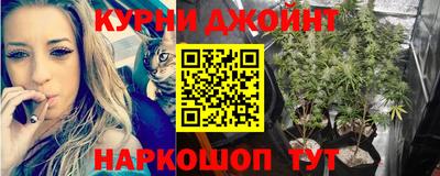 прущие грибы Ипатово