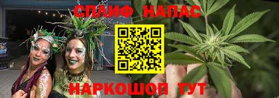 прущие грибы Ипатово