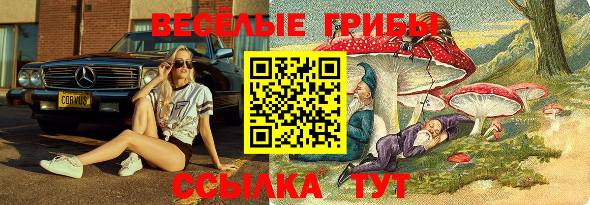 Меф   МАРИХУАНА  COCAIN  Бошки Шишки  Мефедрон  Кумертау  ТГК  Гашиш  Вход с VPN  A PVP СК кристаллы 