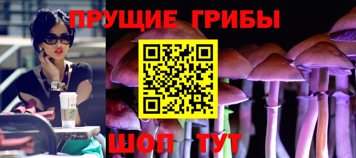 Кумертау  Псилоцибиновые грибы мицелий  Вход с VPN  Галлюциногенные грибы мицелий 