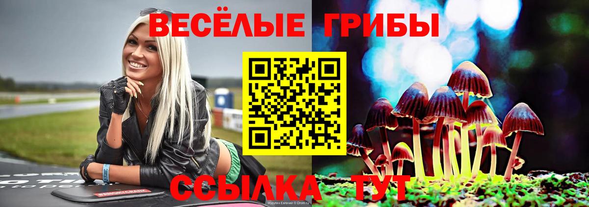 Псилоцибиновые грибы мицелий Кумертау